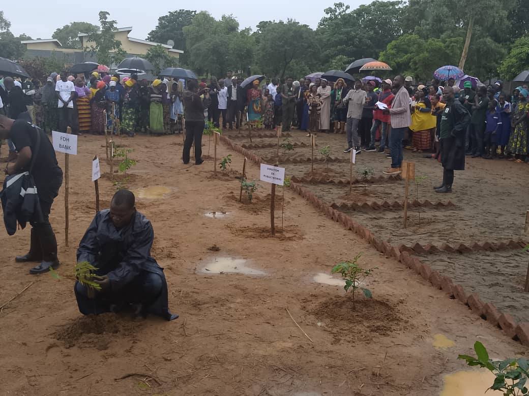 Cover image for Government eyes 41 million tree seedlings in the 2025/2026 National Forestry Season